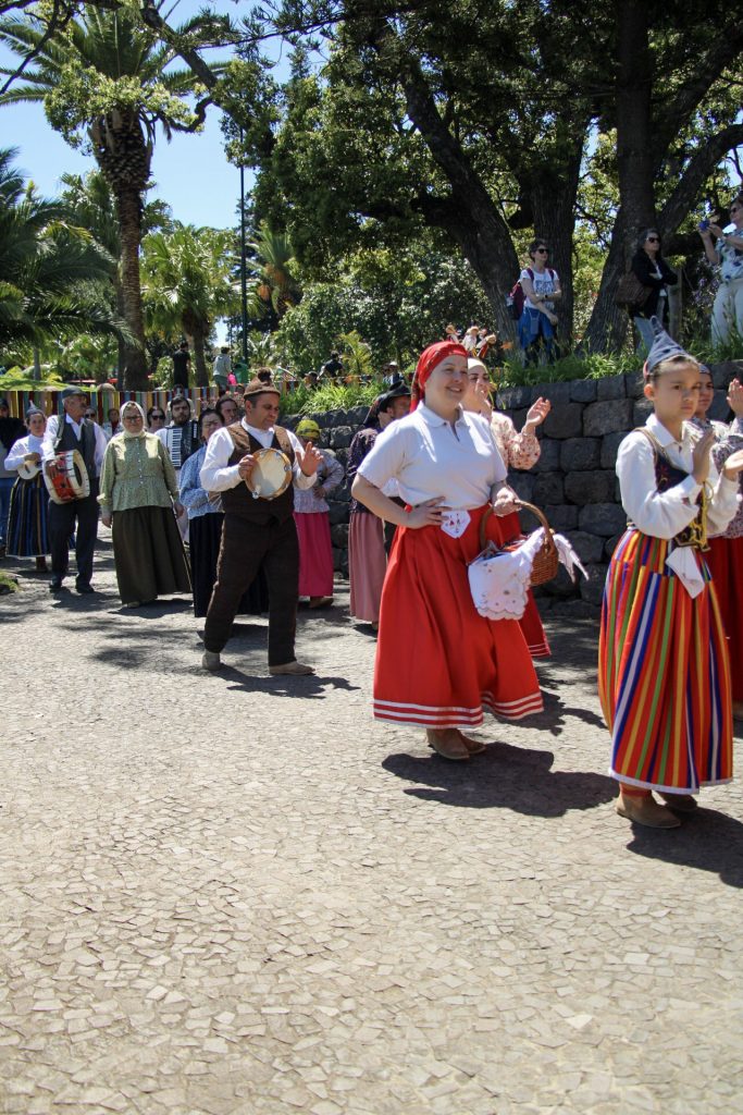 8-IMG_1786